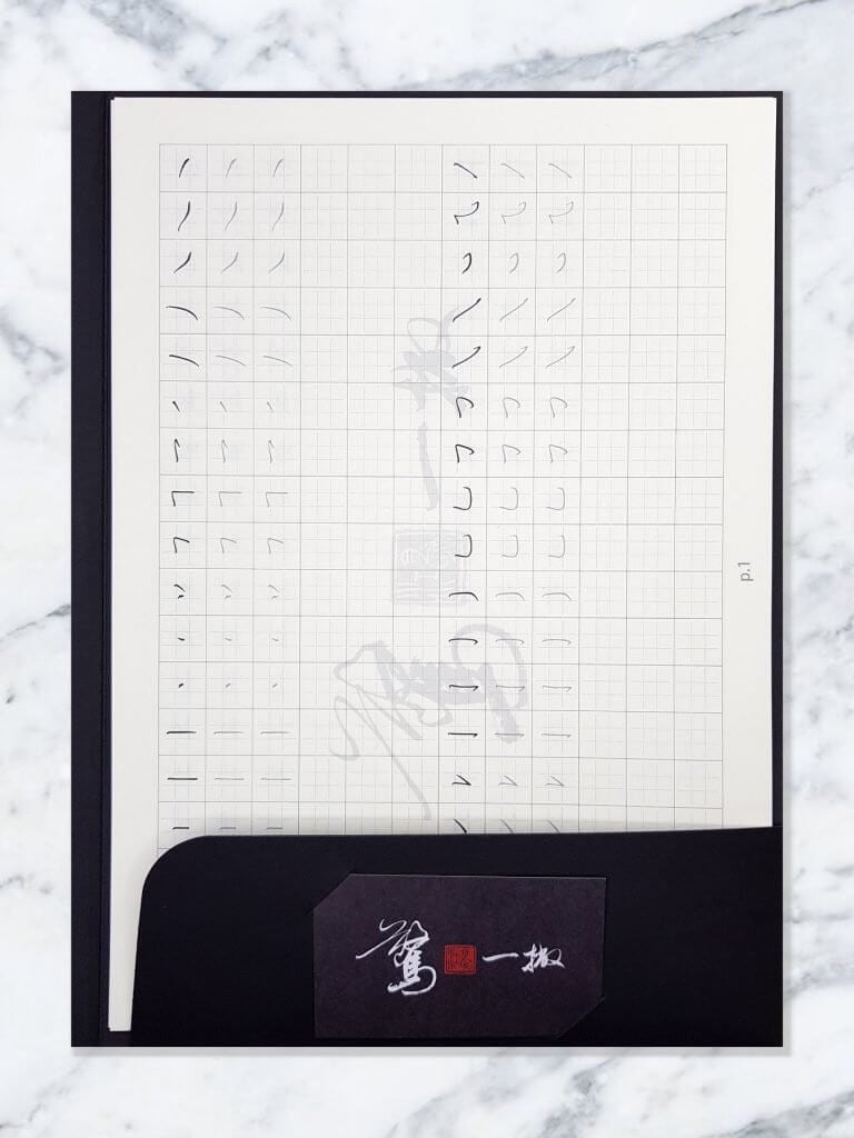 Pierre Cardin Writing Instruments