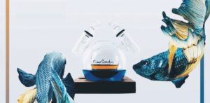 iduo