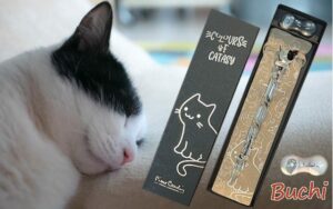 i-Meow