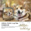Athletic Welsh Corgi Tan - Ink 25ml <BR> 墨水 - 哥基健壯棕啡